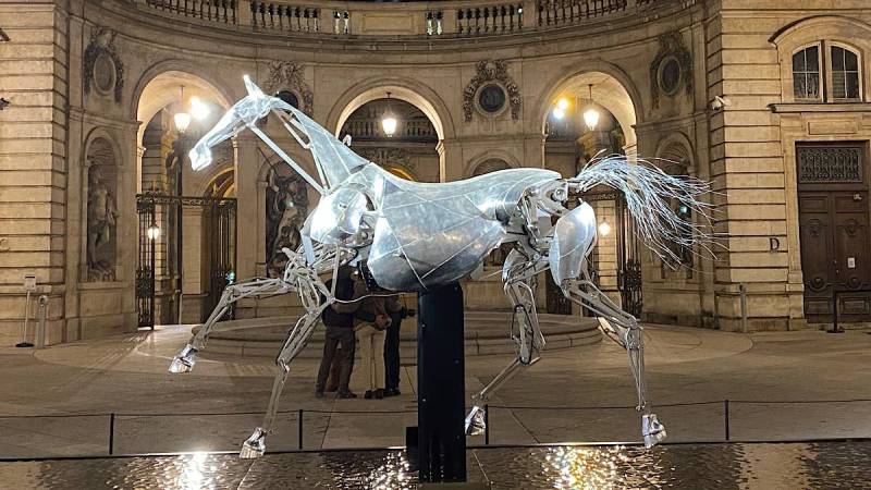 Zeus, le cheval exceptionnel des Jeux Olympiques, fait son arrivée à Nantes.