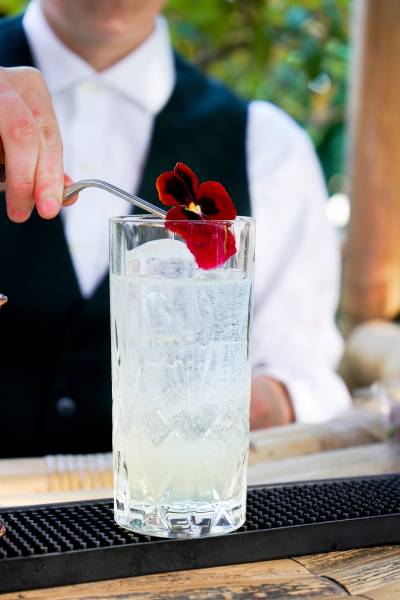 Soirée cocktails au bar du Jardin tous les 2èmes vendredis du mois