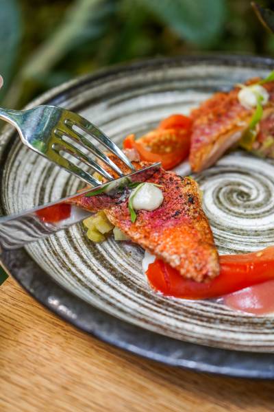 Les bienfaits du bien manger : quand l’alimentation devient votre alliée santé.