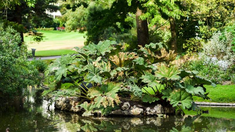 Top 5 des activités à Nantes pour déconnecter du travail. 