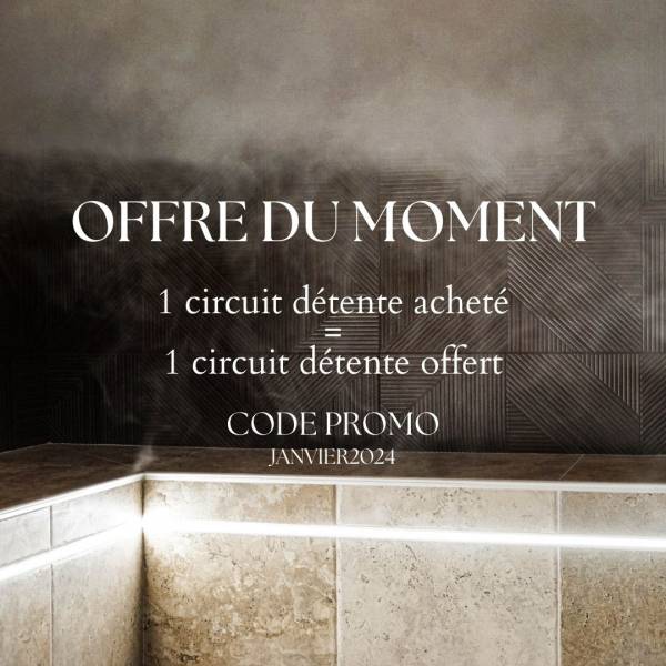 Offre spa à Orvault proche de Nantes.