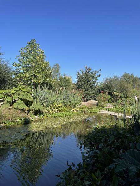 Réouverture du jardin extraordinaire au cœur du quartier de Chantenay à Nantes. 