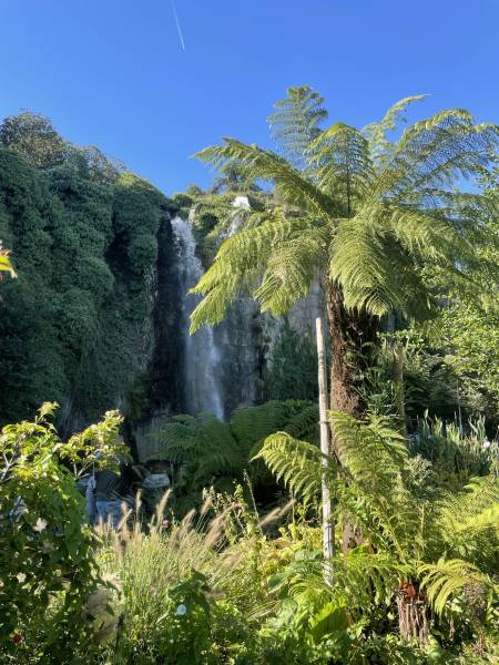 Réouverture du jardin extraordinaire au cœur du quartier de Chantenay à Nantes. 